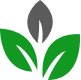 Digital Transformation
